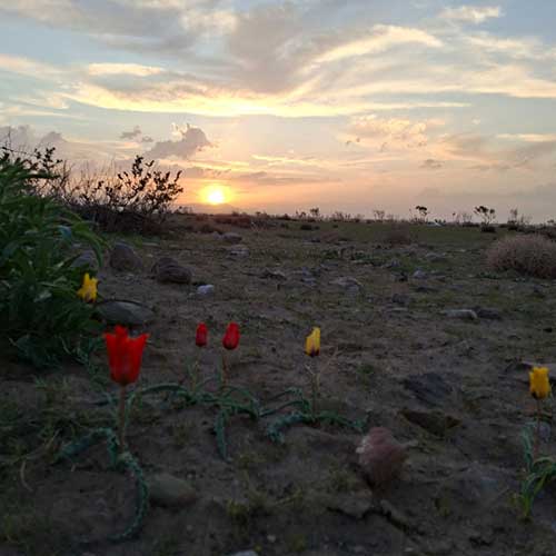 هنوز ناتمومه - سامان گلچمنی