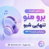برو منو تنهایی شبو