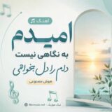 امیدم به نگاهی نیست دلم را دل بخواهی